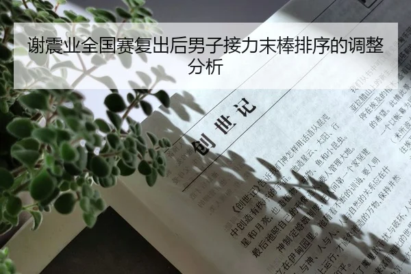 谢震业全国赛复出后男子接力末棒排序的调整分析