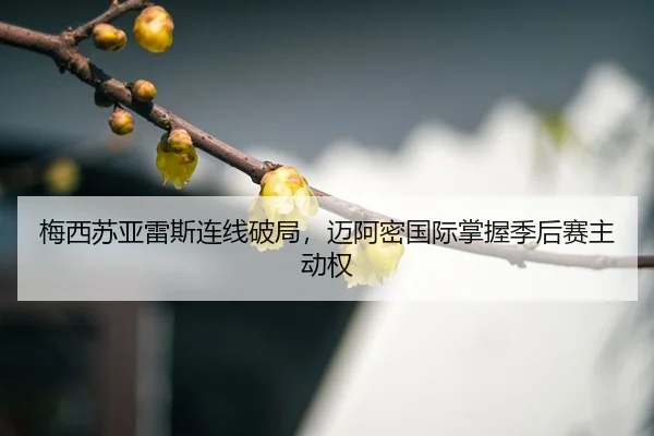 mei-xi-su-ya-lei-si-lian-xian-po-ju-mai-a-mi-guo-ji-zhang-wo-ji-hou-sai-zhu-dong-quan-3-835.jpg