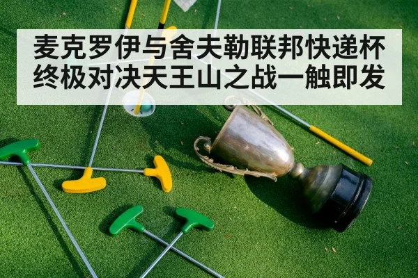 麦克罗伊与舍夫勒联邦快递杯终极对决天王山之战一触即发